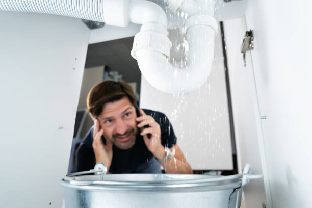 Best Septic Systems  in Hollister, MO