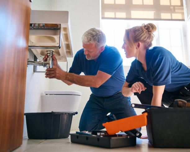Best Affordable Plumbing Services  in Hollister, MO